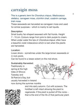 Guide to Edible Seaweeds Pocket Book