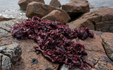 Connemara Organic Seaweed - Dillisk