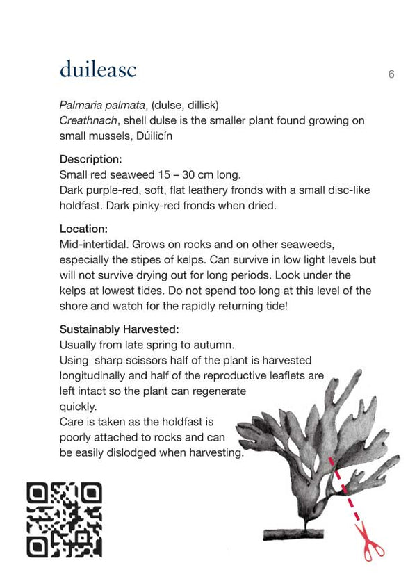Guide to Edible Seaweeds Pocket Book